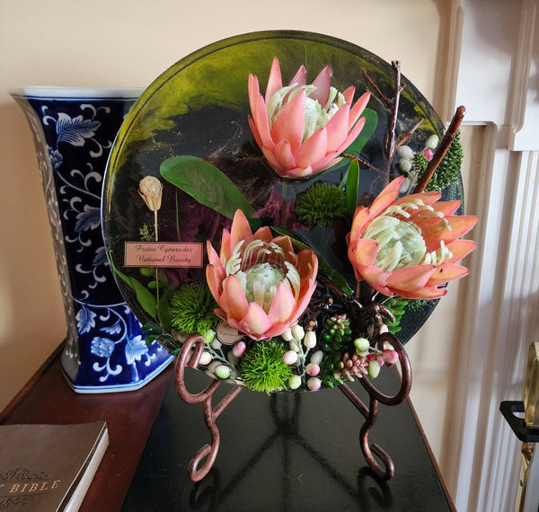 Protea Cynaroides National flower of Africa